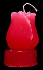 Teelichtrose (H&ouml;he ca. 5cm)