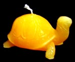 Schildkr&ouml;te (ca. 7cm)